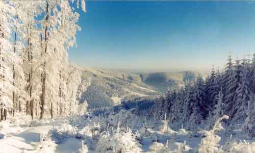 Jiří Jurzykowski - Schneebedeckte Bäume auf Gipfeln von Jablunkov