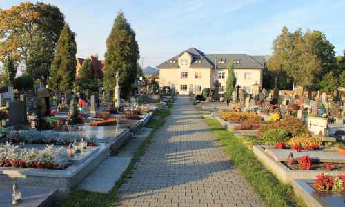 Ewa Zarychta - Die Allee auf dem Friedhof im Zentrum der Stadt